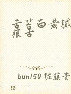 舌苔白黄腻有齿痕舌