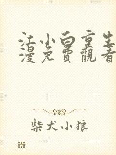 江小白重生记动漫免费观看