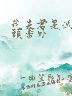 我夫君是灭世魔头番外