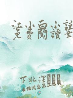 江小白小说全文免费阅读笔趣阁