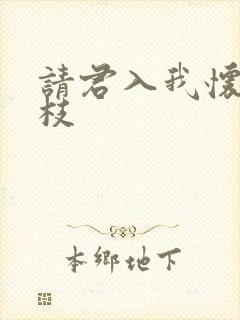 请君入我怀宋瑶枝