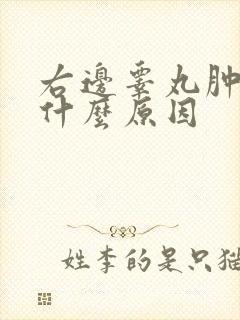 右边睾丸肿痛是什么原因