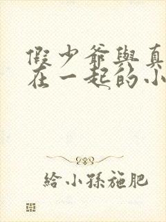 假少爷与真少爷在一起的小说