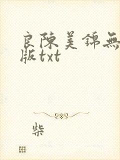 良陈美锦无删减版txt