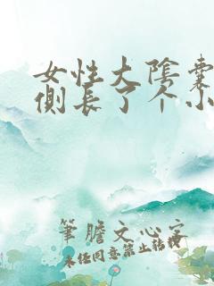 女性大阴囊唇内侧长了个小水泡