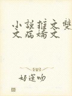 小说推文双男主文病娇文