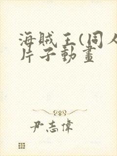 海贼王(同人)片子动画