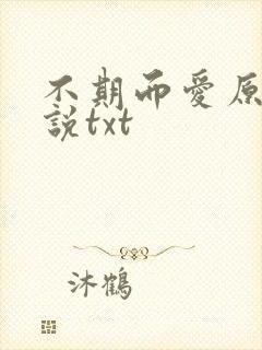 不期而爱原著小说txt