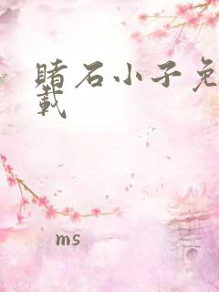 赌石小子免费下载