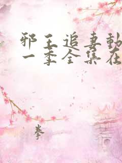 邪王追妻动漫第一季全集在线观看免费