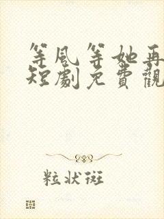 等风等她再回头短剧免费观看全集