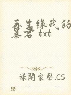 再生缘我的温柔暴君 txt