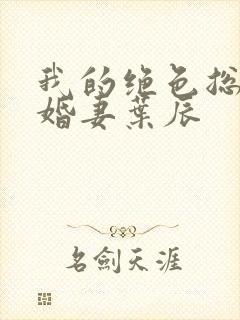 我的绝色总裁未婚妻叶辰