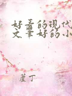 好看的现代言情文笔好的小说