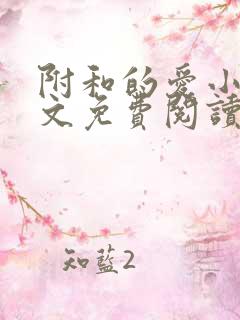 附和的爱小说全文免费阅读最新章节