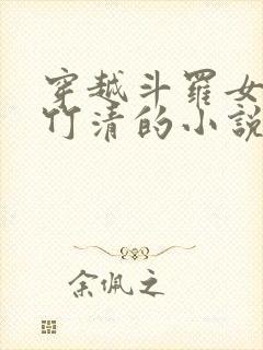 穿越斗罗女主朱竹清的小说