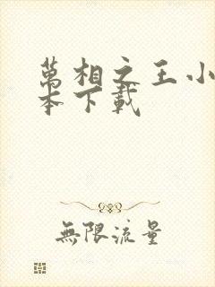 万相之王小说全本下载