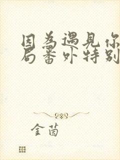 因为遇见你大结局番外特别版