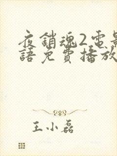 夜销魂2电影国语免费播放