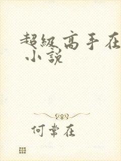 超级高手在都市 小说