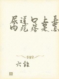 尿道口上长了个肉疙瘩是怎么回事