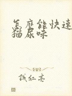 怎么能快速去除猫尿味