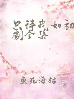 只待我如初心短剧全集