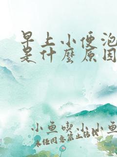 早上小便泡沫多是什么原因