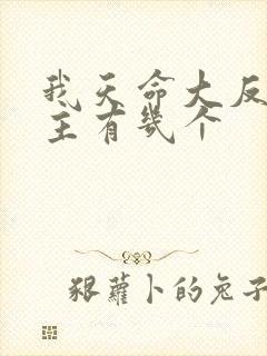 我天命大反派女主有几个