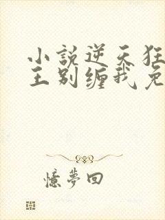 小说逆天狂妃邪王别缠我免费txt下载