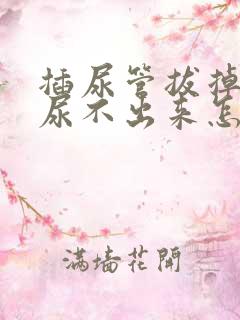 插尿管拔掉之后尿不出来怎么办