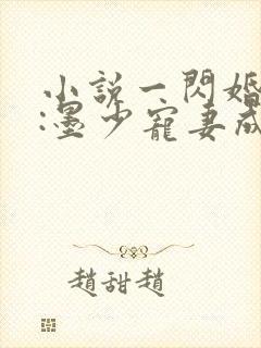 小说一闪婚厚爱:墨少宠妻成瘾