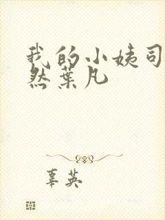 我的小姨司空嫣然叶凡