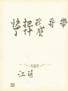 快把我哥带走讲了什么