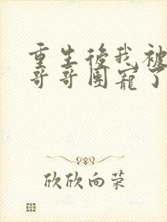 重生后我被四个哥哥团宠了大结局
