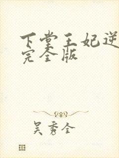 下堂王妃逆袭记完全版