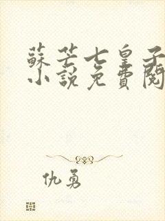 苏芒七皇子穿越小说免费阅读