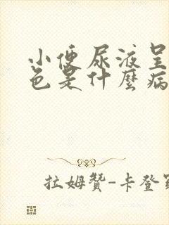 小便尿液呈乳白色是什么病症