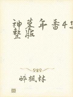 神墓年番4集完整版