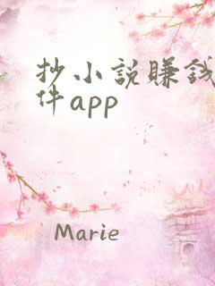 抄小说赚钱的软件app