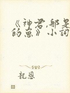 《神君,那是你的崽》小词姐姐