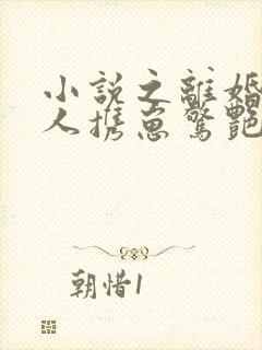 小说之离婚后夫人携崽惊艳全球