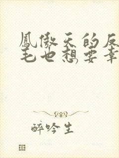 凤傲天的反派黄毛也想要幸福漫画