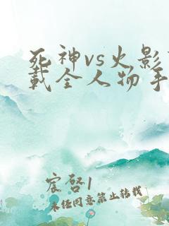 死神vs火影下载全人物手机版