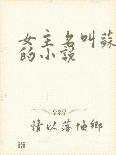 女主名叫苏晚晚的小说