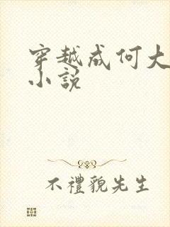 穿越成何大清的小说