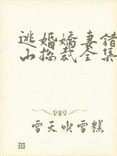 逃婚娇妻错爱冰山总裁全集免费观看