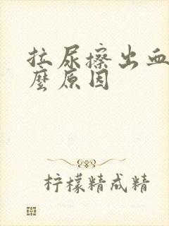 拉尿擦出血是什么原因