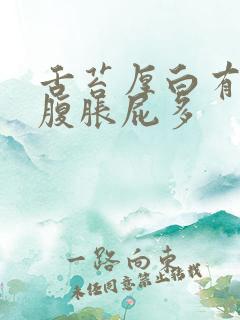 舌苔厚白有齿痕腹胀屁多