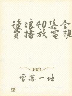 后浪40集全免费播放电视剧